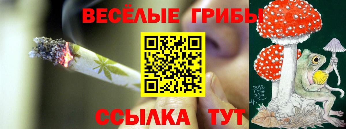 Галлюциногенные грибы Cubensis  Вход с VPN  Тамбов  где найти наркотики  Псилоцибиновые грибы Cubensis 